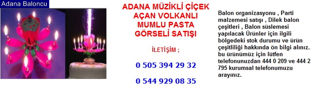 Adana müzikli çiçek açan volkanlı mumlu pasta görseli satışı iletişim ; 0 544 929 08 35