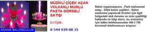 Adana Müzikli çiçek açan volkanlı mumlu pasta görseli iletişim ; 444 0 209 ve 444 2 795