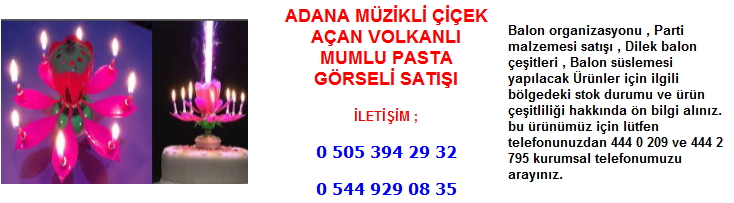 Adana müzikli çiçek açan volkanlı mumlu pasta görseli satışı